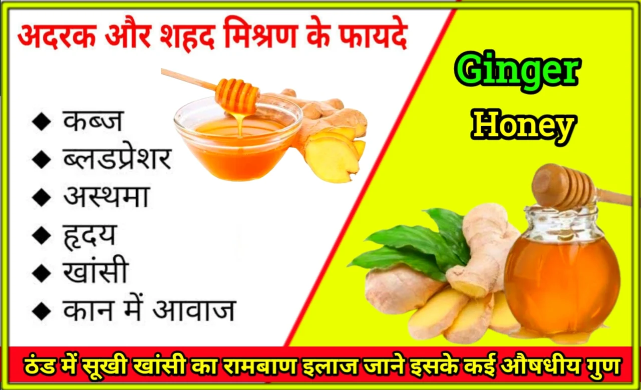 Benefits-of-ginger-and-honey.webp