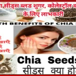 Chia-seeds-benefits-in-Hindi.webp