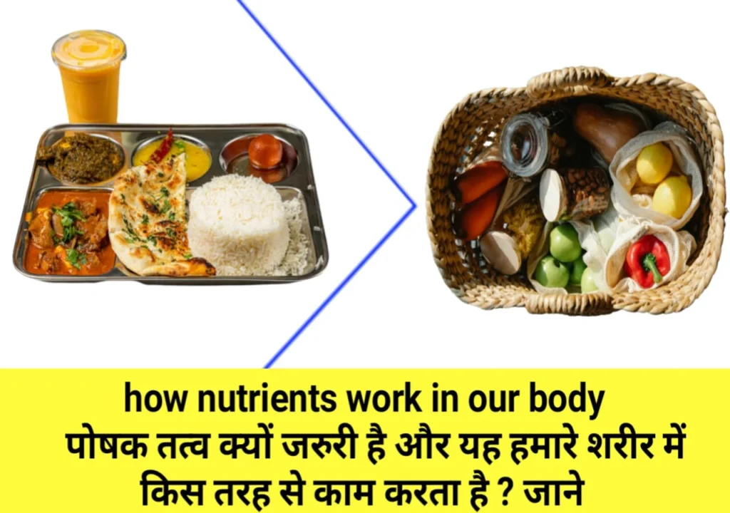 how-nutrients-work-in-our-body.webp