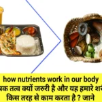 how-nutrients-work-in-our-body.webp
